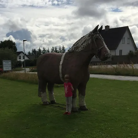 Aktivitetshuset Solhjem Vandrerhjem *